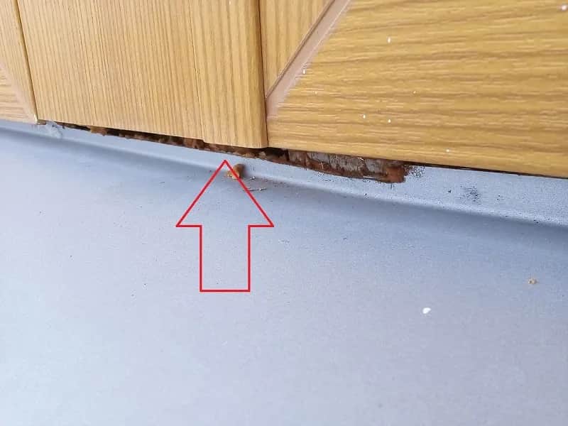 Ile czasu ma deweloper na usunięcie usterki? Poznaj swoje prawa