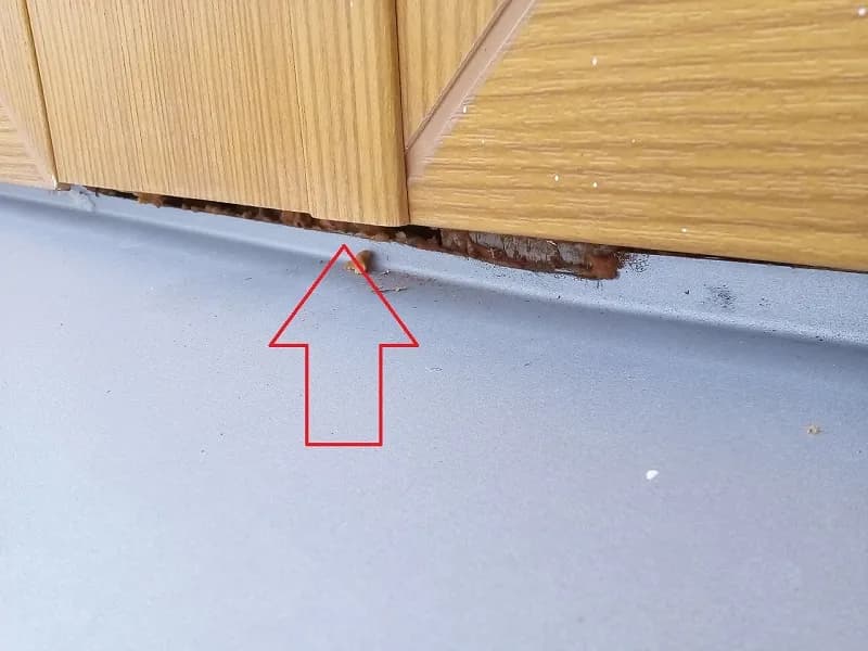 Ile czasu ma deweloper na usunięcie usterki? Poznaj swoje prawa